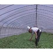 宿州号翰农业 深耕农副产品种植，助力乡村振兴新篇章