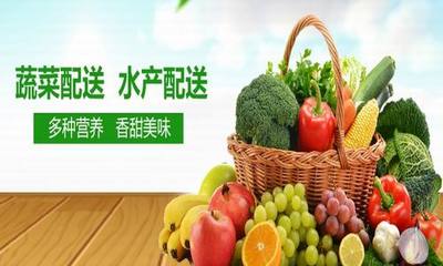农副产品种植与配送 从田间到餐桌的品质新生